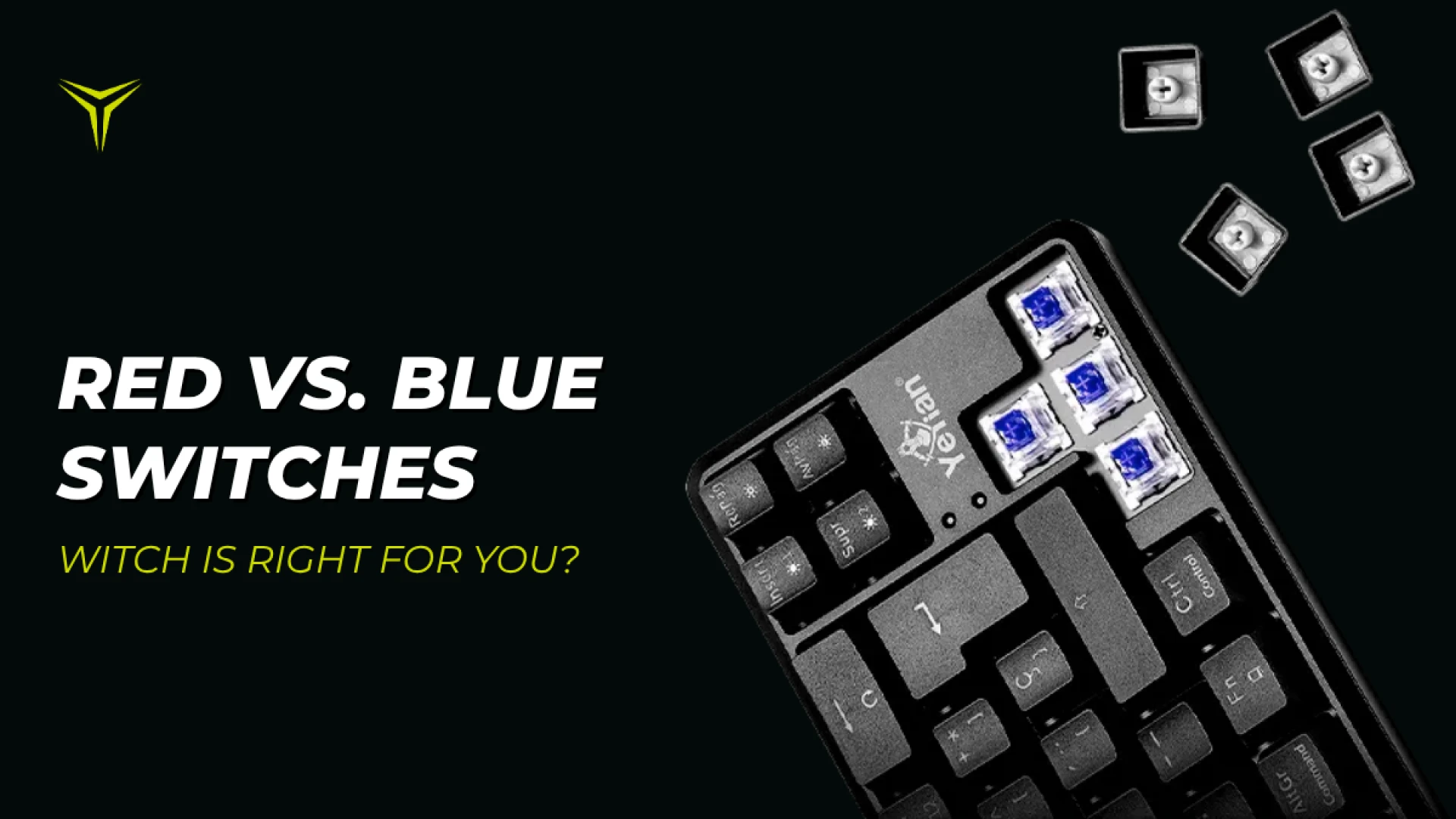 Red vs. Blue Switches: Which Mechanical Keyboard Switch Is Right for You?